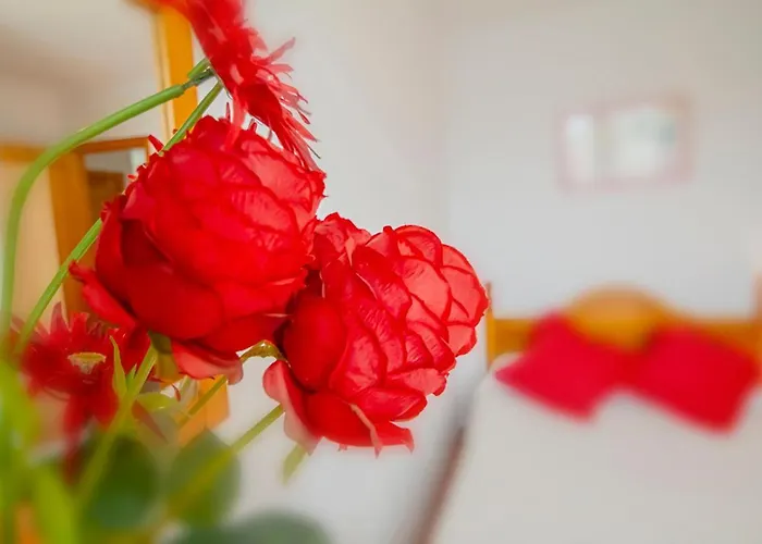 게스트하우스 Casa Milagros *