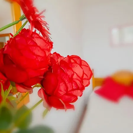 Gasthuis Casa Milagros *